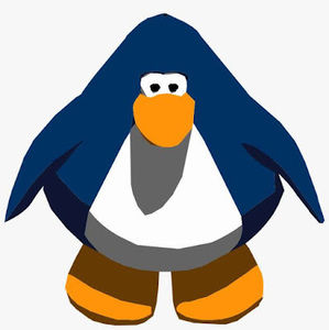 Meet your Posher, Donovan